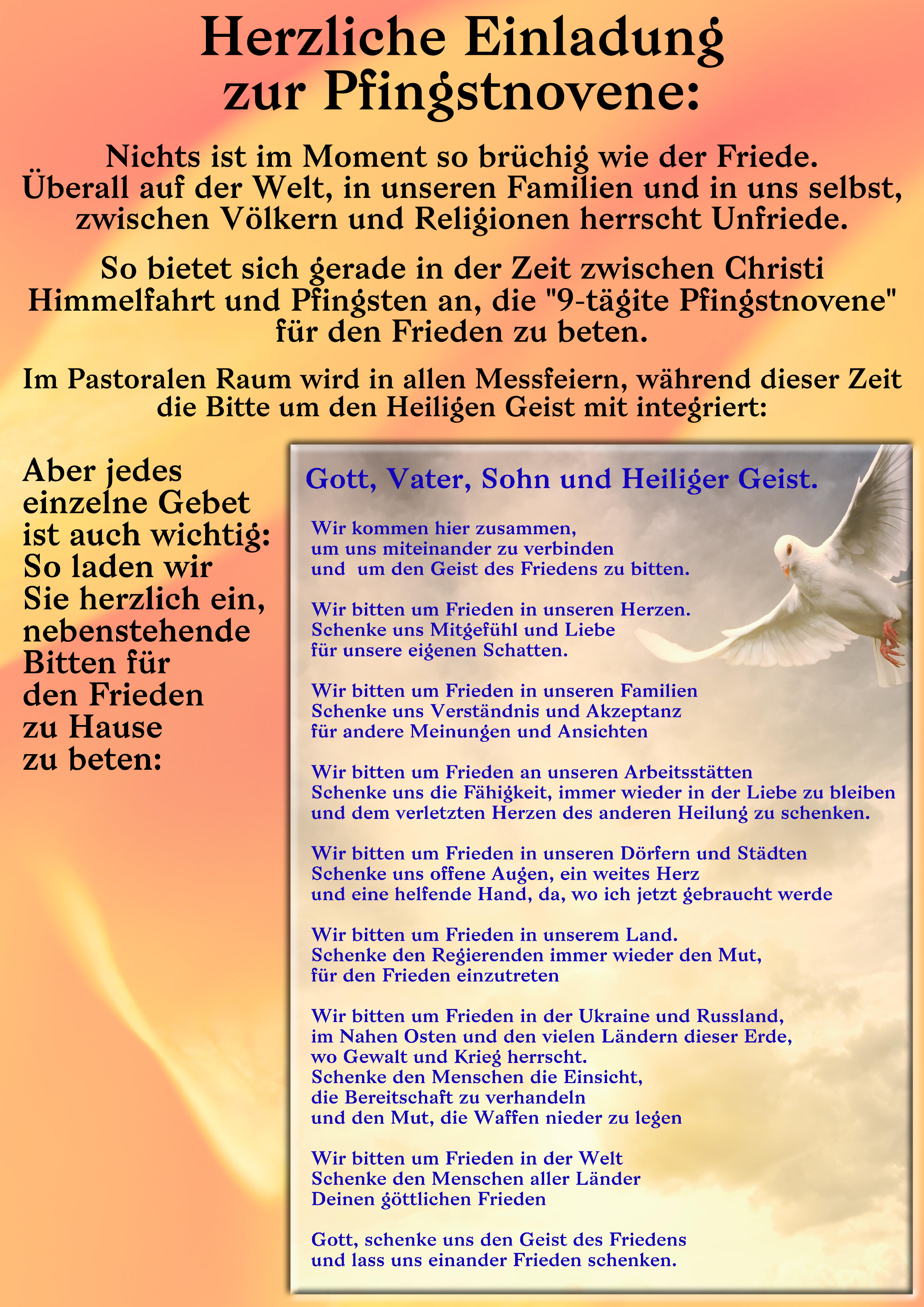 05 09 neuer Weihbischof Plakat